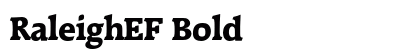 RaleighEF Bold preview