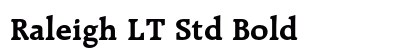 Raleigh LT Std Bold preview