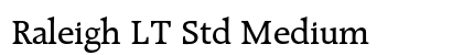 Raleigh LT Std Medium preview
