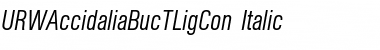 URWAccidaliaBucTLigCon Italic Font
