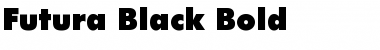 Futura-Black Bold Font