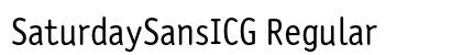 SaturdaySansICG Regular Preview