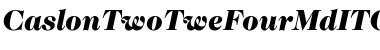CaslonTwoTweFourMdITC Bold Italic Font