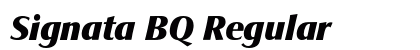 Signata BQ Regular preview