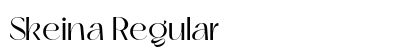 Skeina Regular preview