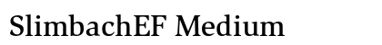 SlimbachEF Medium preview