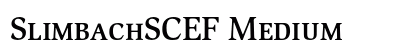 SlimbachSCEF Medium preview