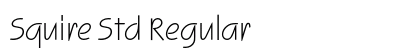 Squire Std Regular