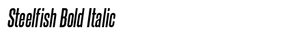 Steelfish Bold Italic Preview