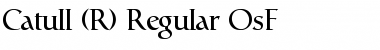 Catull Expert BQ Font