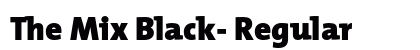 The Mix Black- Regular preview
