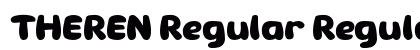 THEREN Regular Regular preview