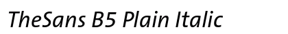 TheSans B5 Plain Italic Preview