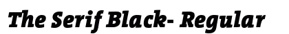 The Serif Black- Regular preview