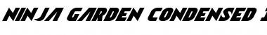 Download Ninja Garden Condensed Italic Font
