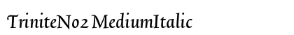TriniteNo2 MediumItalic Preview