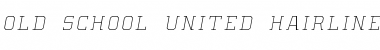 Old School United Hairline Italic Font