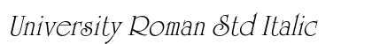 University Roman Std Italic