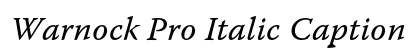 Warnock Pro Italic Caption Preview
