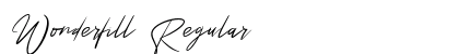 Wonderfill Regular preview