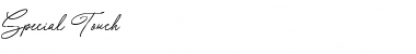 Special Touch Font