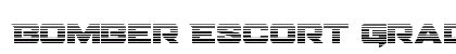 Bomber Escort Gradient Regular