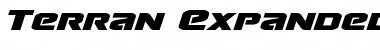 Terran Expanded Italic Font