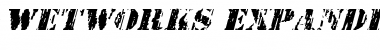 Wetworks Expanded Italic Font