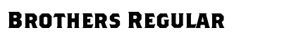 Brothers Regular preview