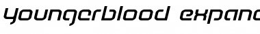 Youngerblood Expanded Italic Font