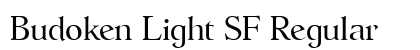 Budoken Light SF Regular preview