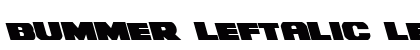 Bummer Leftalic Leftalic preview