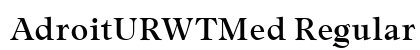 AdroitURWTMed Regular preview