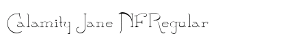 Calamity Jane NF Regular preview