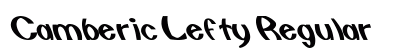 Camberic Lefty Regular