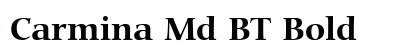 Carmina Md BT Bold Preview