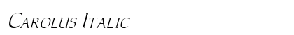 Carolus Italic Preview