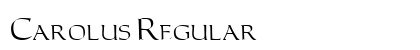 Carolus Regular preview