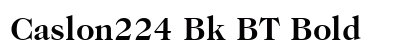 Caslon224 Bk BT Bold preview
