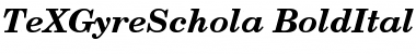 TeX Gyre Schola Font