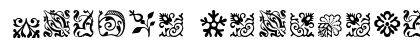 CaslonOrnamentsSSK Regular preview