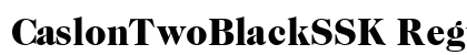 CaslonTwoBlackSSK Regular preview
