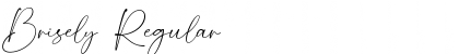 Download Brisely Font Download Brisely Font