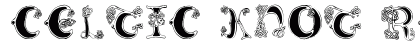 Celtic Knot Regular preview