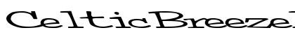 CelticBreezeLight80 Regular preview