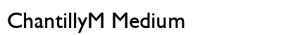 ChantillyM Medium preview