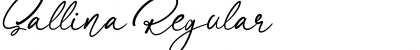 Download Sallina Font Download Sallina Font