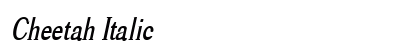 Cheetah Italic preview