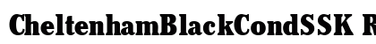CheltenhamBlackCondSSK Regular preview