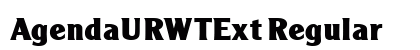 AgendaURWTExt Regular